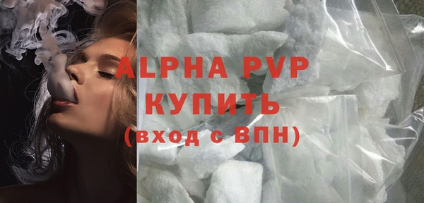 прущие грибы Осинники