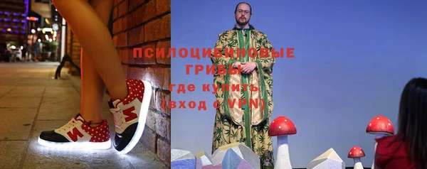 прущие грибы Осинники