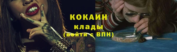 прущие грибы Осинники