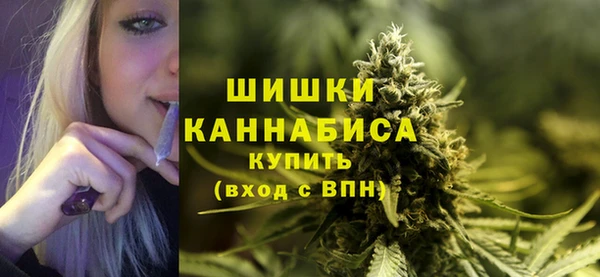 прущие грибы Осинники
