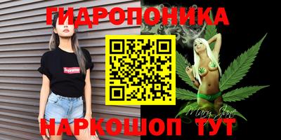 apvp Бийск