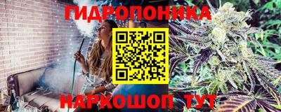 спиды Берёзовский