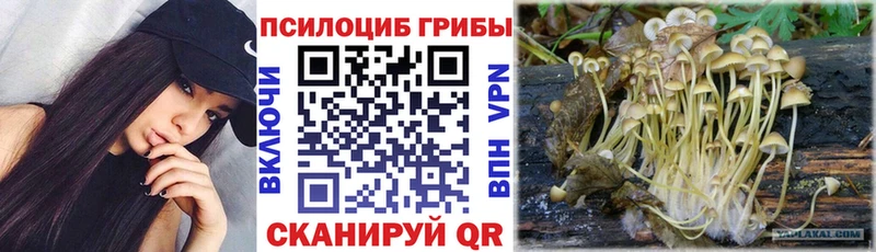 Галлюциногенные грибы Magic Shrooms  сайты даркнета телеграм  Заинск  KRAKEN как войти 