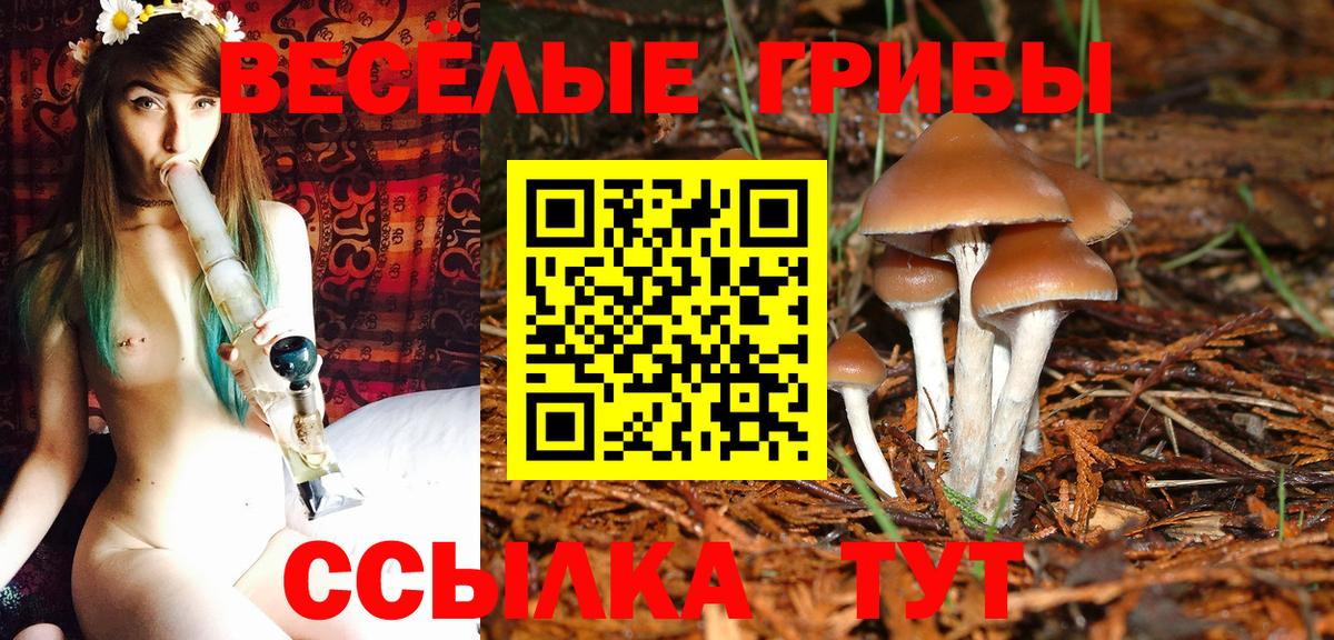 Галлюциногенные грибы мухоморы  Вход с VPN  Галлюциногенные грибы мухоморы  Заинск 
