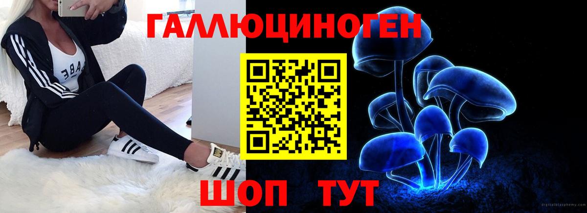 Галлюциногенные грибы MAGIC MUSHROOMS Заинск