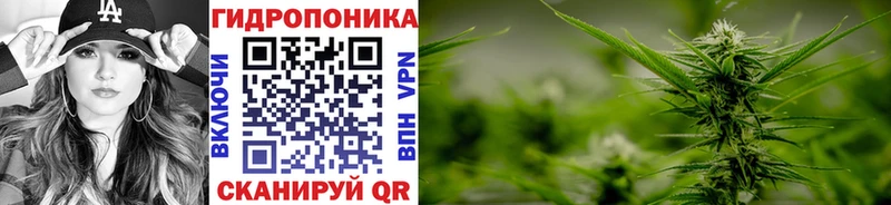 где можно купить наркотик  МЕГА ТОР  Каннабис OG Kush  Заинск 